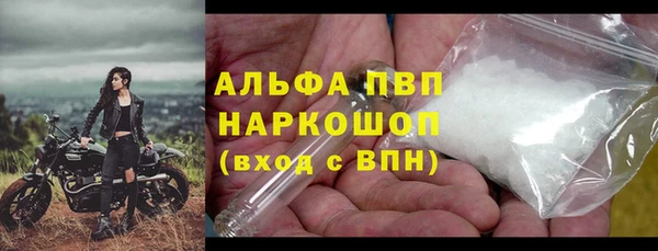 СК Надым