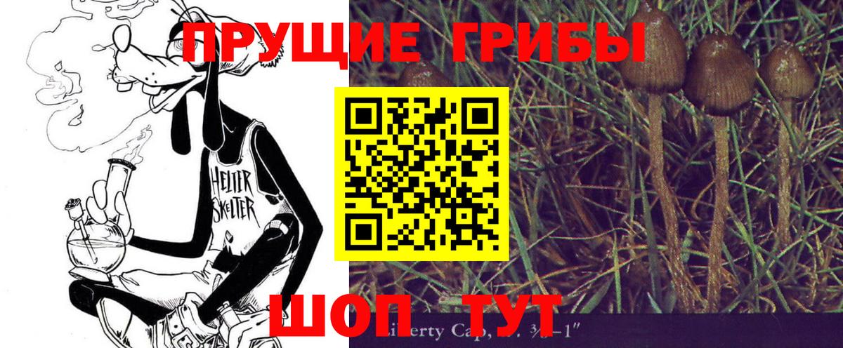Электросталь  Псилоцибиновые грибы Psilocybe  Галлюциногенные грибы прущие грибы  Вход с VPN 